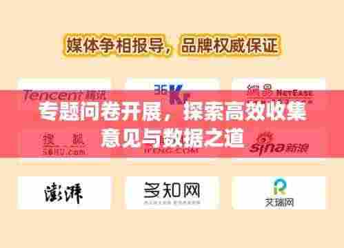 专题问卷开展,探索高效收集意见与数据之道