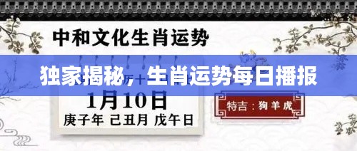 独家揭秘,生肖运势每日播报