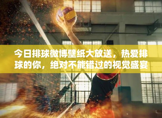 今日排球微博壁纸大放送,热爱排球的你,绝对不能错过的视觉盛宴!