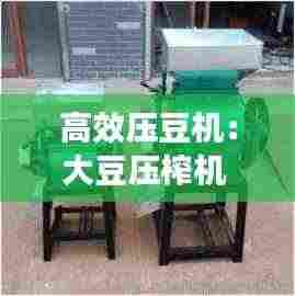 高效压豆机:大豆压榨机