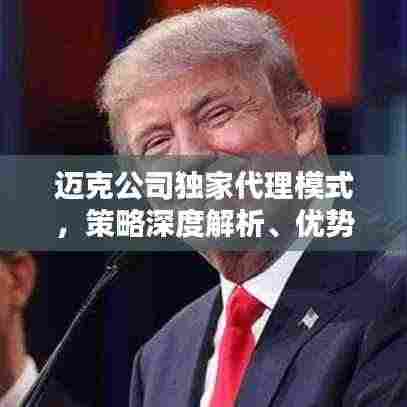 迈克公司独家代理模式,策略深度解析、优势挑战并存