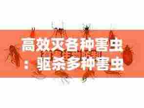 高效灭各种害虫：驱杀多种害虫 