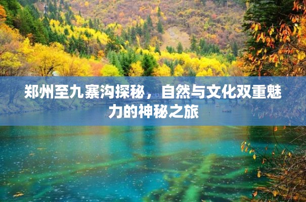 郑州至九寨沟探秘,自然与文化双重魅力的神秘之旅