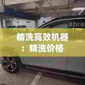 精洗高效机器:精洗价格