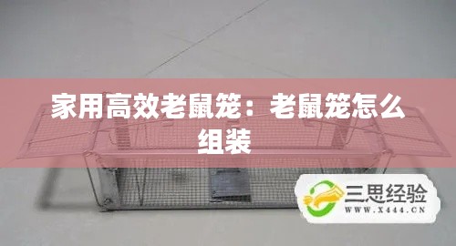 家用高效老鼠笼:老鼠笼怎么组装
