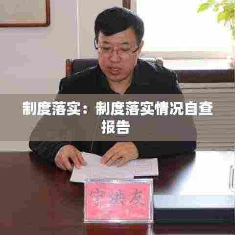 制度落实:制度落实情况自查报告