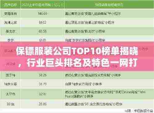 保镖服装公司TOP10榜单揭晓,行业巨头排名及特色一网打尽