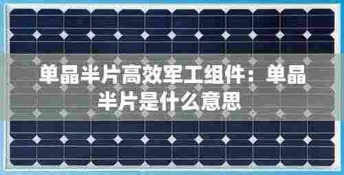 单晶半片高效军工组件:单晶半片是什么意思