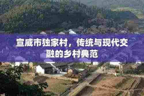宣威市独家村,传统与现代交融的乡村典范