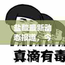 盐酸最新动态报道,今日消息更新速递