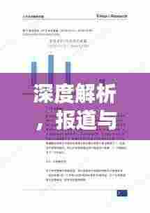 深度解析,报道与言论的界限探讨