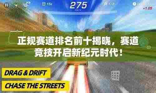 正规赛道排名前十揭晓，赛道竞技开启新纪元时代！