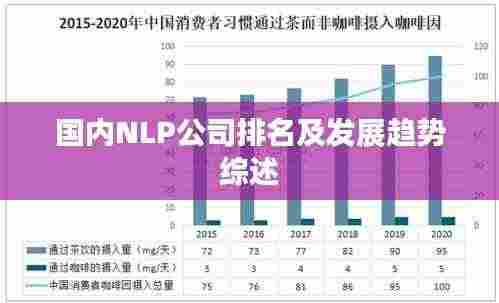 国内NLP公司排名及发展趋势综述