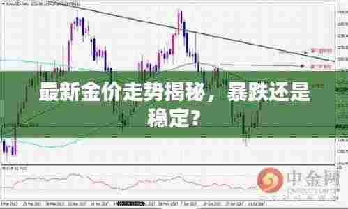 最新金价走势揭秘,暴跌还是稳定?