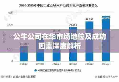 公牛公司在华市场地位及成功因素深度解析