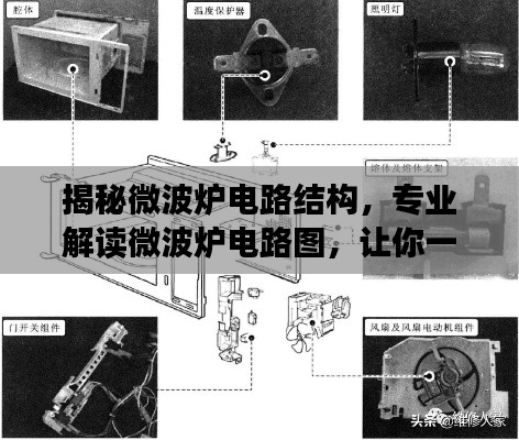 料事如神 第4页