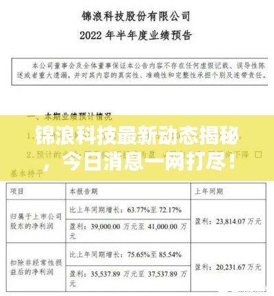 锦浪科技最新动态揭秘,今日消息一网打尽!