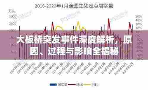 大板桥突发事件深度解析，原因、过程与影响全揭秘