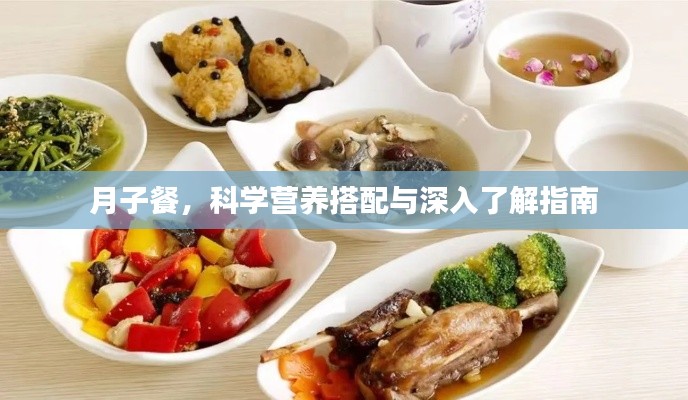 月子餐,科学营养搭配与深入了解指南