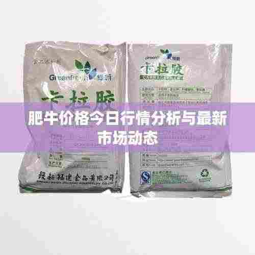 肥牛价格今日行情分析与最新市场动态