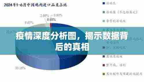 疫情深度分析图，揭示数据背后的真相