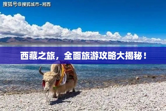 西藏之旅,全面旅游攻略大揭秘!