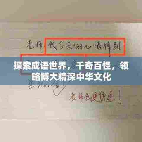 探索成语世界，千奇百怪，领略博大精深中华文化