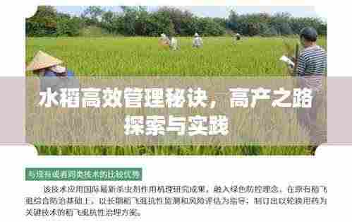 小心翼翼 第3页