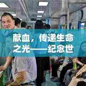 献血,传递生命之光——纪念世界献血者日的力量与意义