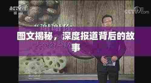 图文揭秘,深度报道背后的故事