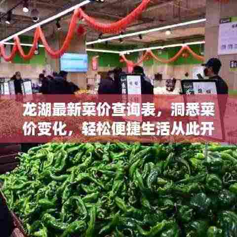 龙湖最新菜价查询表，洞悉菜价变化，轻松便捷生活从此开启