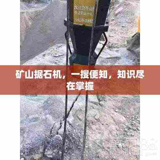 矿山据石机,一搜便知,知识尽在掌握