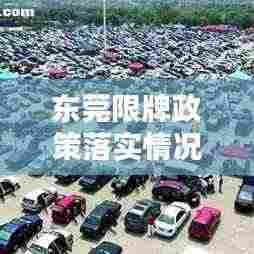 东莞限牌政策落实情况深度探讨