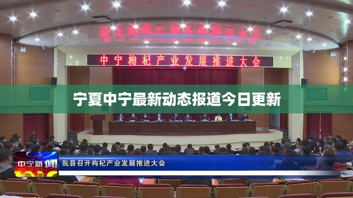 宁夏中宁最新动态报道今日更新