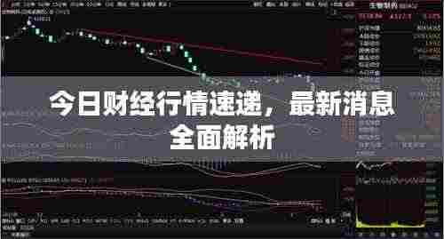 今日财经行情速递,最新消息全面解析
