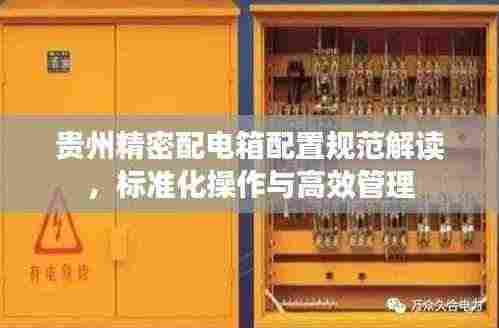 贵州精密配电箱配置规范解读,标准化操作与高效管理