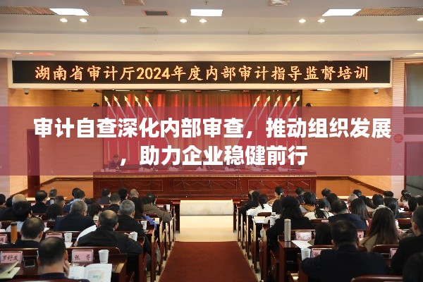 审计自查深化内部审查，推动组织发展，助力企业稳健前行