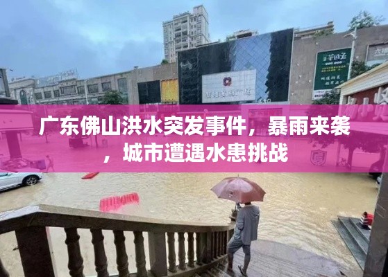 广东佛山洪水突发事件,暴雨来袭,城市遭遇水患挑战