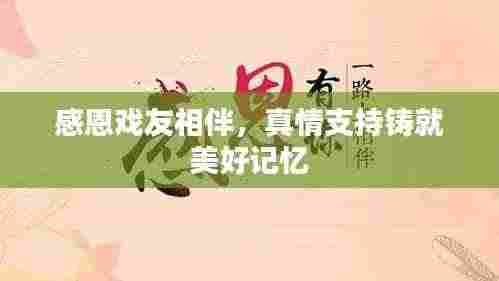 感恩戏友相伴，真情支持铸就美好记忆