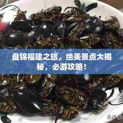 盘锦福建之旅，绝美景点大揭秘，必游攻略！