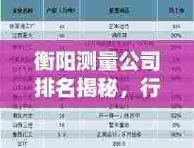 衡阳测量公司排名揭秘，行业深度分析与评估