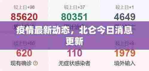 疫情最新动态,北仑今日消息更新