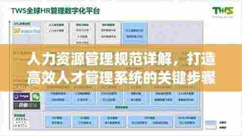 人力资源管理规范详解，打造高效人才管理系统的关键步骤！