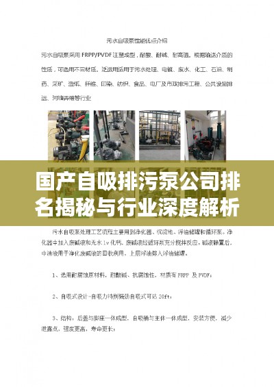 国产自吸排污泵公司排名揭秘与行业深度解析