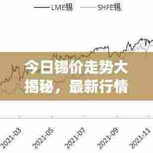 今日锡价走势大揭秘，最新行情与成品市场动态全解析