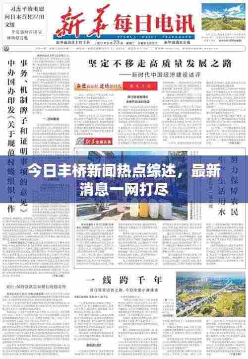 今日丰桥新闻热点综述，最新消息一网打尽