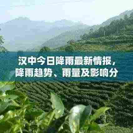汉中今日降雨最新情报,降雨趋势、雨量及影响分析