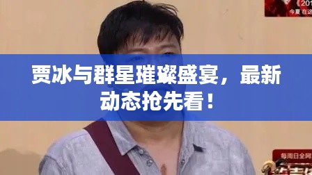 贾冰与群星璀璨盛宴，最新动态抢先看！