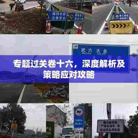 专题过关卷十六，深度解析及策略应对攻略
