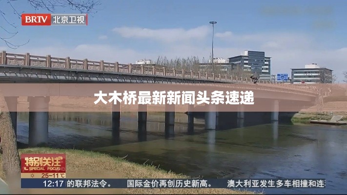 大木桥最新新闻头条速递